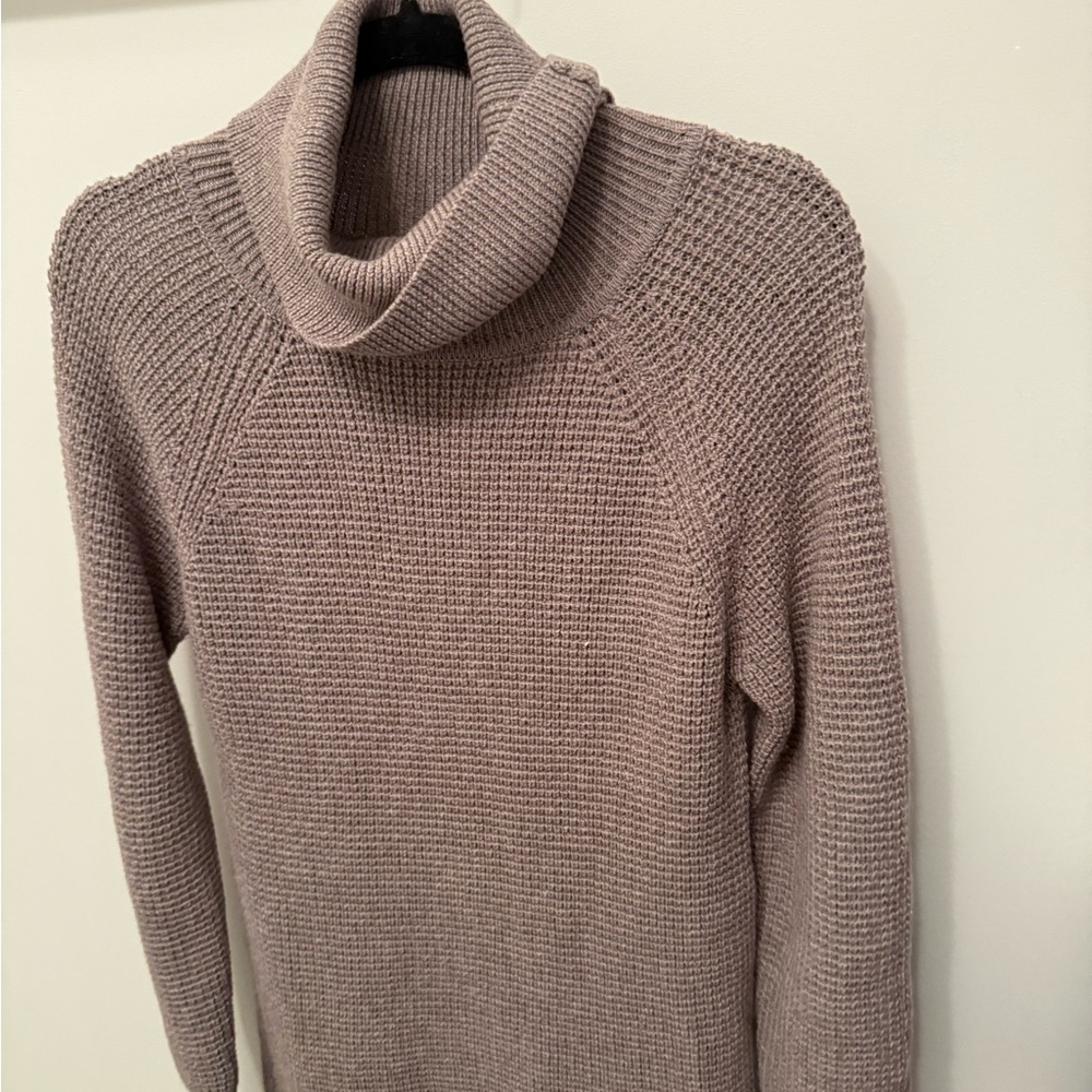 Wilfred turtleneck sweater dress